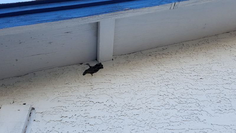 Exterior Stucco Repair